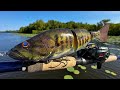 Fishing a Bass Lure for River MONSTERS!