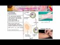 ทบทวนความรู้เพื่อสอบใบประกอบ mt สาขาภูมิคุ้มกัน 6 7