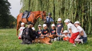 Policie ČR: Policie a děti