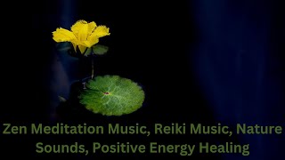 Meditation Music, Reiki Music, Nature Sounds, Positive Energy Healing #meditation #relax #healing