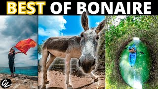 10 BONAIRE THINGS TO DO! (That aren't scuba diving!)