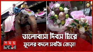 যুগলরা হাতির পিঠে চড়ে আবদ্ধ হচ্ছেন বিয়ের বন্ধনে | Valentine's Day | Thailand | Philippines