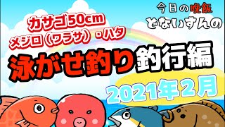 【船泳がせ釣り】和歌山県 冬の名物 底物ノマセ便に挑戦！！うっかりカサゴって何！？