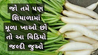 શું તમે પણ શિયાળામાં મૂળા ખાઓ છો તો આ વિડિયો જલ્દી જુઓ 😳।। Gujarati Ajab Gajab