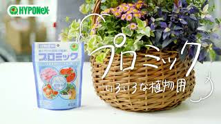 大切な人に花を贈ろう！季節の花の寄せ植え【肥料】プロミック　-いろいろな植物用-