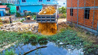 Starting a New Project! Filling Land on Flooded Area by Mini Bulldozer with 5Ton Truck Pushing Stone