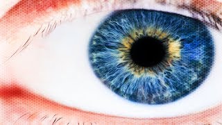 This Will Leave You Speechless! - One of The Most Eye Opening Videos