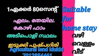 Suitable for Resort. 1ഏക്കർ 80സെന്റ്. തേയില. കോഴി ഫാം. വീട് . തണുപ്പ്.വഴി വെള്ളം.70ലക്ഷം പുഷ്പഗിരി👇