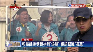 蔡英文車掃第2日 海外青年回鄉呼籲返\