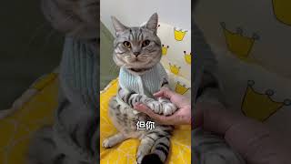 你 没有🙂‍↔️ 小猫咪爪爪开花 猫