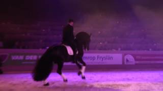 Elias 494- FriesianProms2017