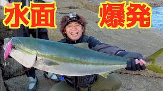 陸から青物の群れにルアーを投げたら・・・！！