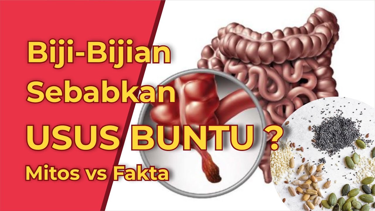 Biji-Bijian Sebabkan Usus Buntu? - Mitos Vs Fakta - YouTube