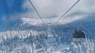 雪の東北の旅3日間③山形蔵王【ロープウェイからの樹氷】