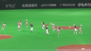 ファイターズガール 2016.10.9紅白戦 オープニングダンス