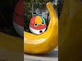 Kupasin pisang ‼️ countryball anime ‼️#countryballs #shorts #edit