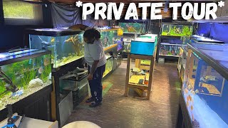 MAN KEEPS THOUSANDS OF FISH IN HIS BASEMENT FISH ROOM!