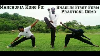 MANCHURIA KUNGFU: shaolin first farm