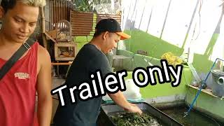 Fishpond ni Boss Jerson trailer