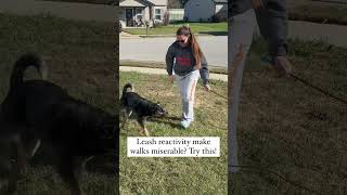 #dogtrainingtips #dogmom #blueheeler