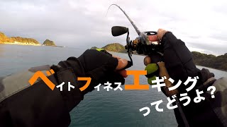 【鹿児島初イカ】ベイトフィネスエギングってどうかな？