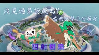 【Pokémon UNITE/寶可夢大集結】沒見過梟發威嗎?看我狙擊手的厲害！狙射樹梟