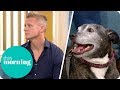 Are the Owners Responsible After a Dangerous Dog Attack? | This Morning