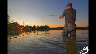 Doré : prendre du poisson même par vent du nord sur le fleuve