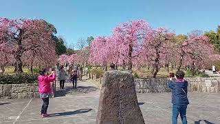 名古屋市農業センター