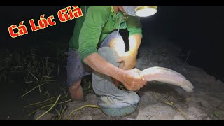 TẬP-28-Anh Đậu chạm trán Cá Lóc Già/nước rút dính toàn cá lóc già không/GLQ