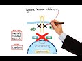 Pharmacology - CANCER DRUGS – CELL CYCLE INHIBITORS (MADE EASY)