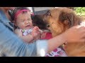 BABY LOVES DOGS! - July 13, 2013 - itsJudysLife Vlog