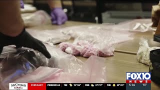 15 arrested after more than 14 pounds of fentanyl were seized in drug trafficking operation