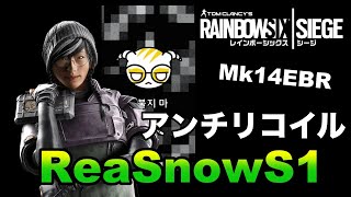 【ReaSnowS1】アンチリコイルマクロの効果実演と設定公開〜ドッケビMk14EBR〜【R6S】【チート】【あるこぱ】