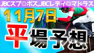 【平場穴予想】大穴ぶちかましたーい🤩厳選注目馬10頭考察！11月7日.土曜日