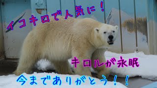 【追悼動画】亡くなってしまったキロルの生涯を振り返ります！キロル、今までありがとう、天国でゆっくり休んでね！！