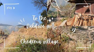 A little glimpse of our field, Za. Chedema Village. Kohima, Nagaland.