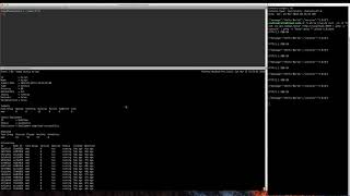 HashiCorp Nomad Node Drain Demo