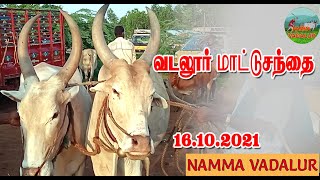 வடலூர் மாட்டு சந்தை - 16.10.2021