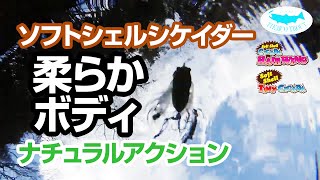 ソフトシェルシケイダーヘアーウィング＆ソフトシェルタイニーシケイダー アクション動画 / Soft Shell Cicada Hair Wing ＆Soft Shell Tiny Cicada