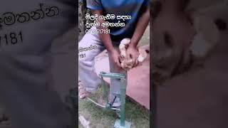 පාදයෙන් ක්‍රියාකරන පොල් ලෙලි ගසන යන්ත්‍රය | Coconut Dehusking Machine | Shanaka Dassanayaka - Kandy