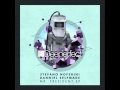 Stefano Noferini, Danniel Selfmade - Mr. President (Original Mix)