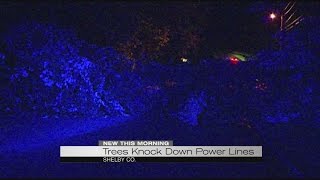 Tree knocks down power lines