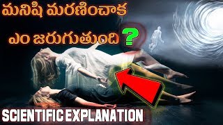 What Happens After Death in Telugu | Chanipoina Tharuvatha | Life After Death || Telugu Facts