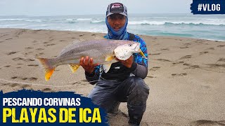 #Vlog - Pescando Corvinas en las Playas de Ica