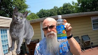 Does Vinegar Keep Cats Off Your Deck
