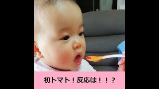 【7ヶ月20日】カゴメトマトペースト離乳食に挑戦！#Shorts