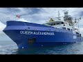 ❗️TUNA FISHING VESSEL ❗️FV QUEEN ALEXANDRA 959 | PURSE SEINE | KAPAL JARING BESAR |