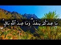 ما عندكم ينفد وما عند الله باق - الآيات 95-105 من سورة النحل للشيخ ياسر الدوسري