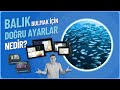 Furuno Balık Bulucu | Soru Cevap: Balık bulmak için doğru ayarlar nedir? 🤔